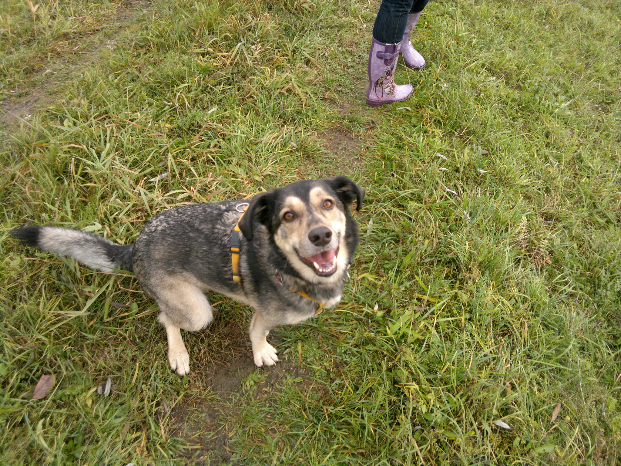 Jonas.jpg (2048 x 1536)